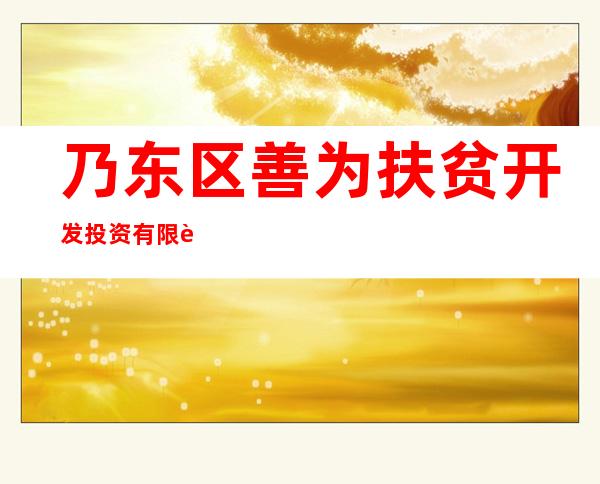 乃东区善为扶贫开发投资有限责任公司